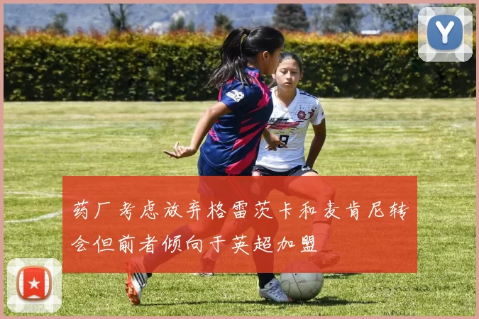 药厂考虑放弃格雷茨卡和麦肯尼转会但前者倾向于英超加盟